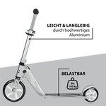 Hudora 14211 - Little BigWheel trottinette argentée Edition exclusive