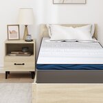 vidaXL Coussins de Matelas Blanc et Bleu 70 x 200 cm