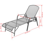 vidaXL Chaises longues lot de 2 avec table Acier Anthracite