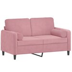 vidaXL Canapé 2 places avec oreillers décoratifs rose 120 cm velours