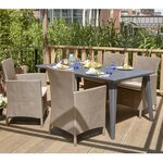 Keter Chaise de salle à manger de jardin Iowa Cappuccino 215519