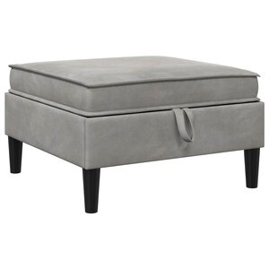 vidaXL Pouf avec Rangement Gris clair Velours