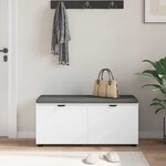 vidaXL Banc d'entrée avec coussin avec stockage Blanc 100 x 38 x 46 cm