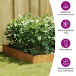 vidaXL Lit surélevé de jardin 100x100x26 cm acier corten
