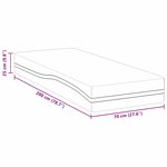 vidaXL Matelas Blanc  Gris 70 x 200 cm Mousse