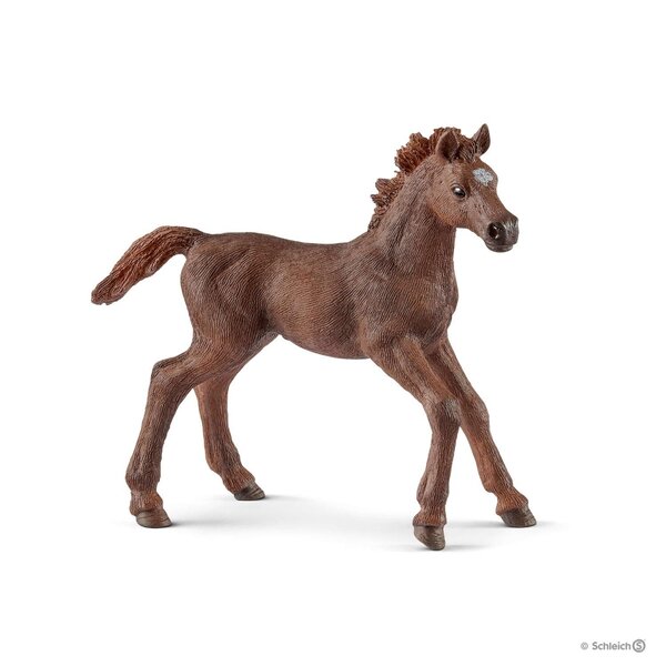 Schleich 13857 - Poulain Pur-sang anglais