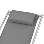 vidaXL Chaises inclinables de terrasse lot de 2 acier gris