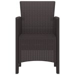 vidaXL Chaise de jardin 2 Pièces Marron 53 x 49 x 85 cm Polypropylène