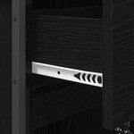 vidaXL Cabinet de salle de bain avec porte Chêne noir 40 x 30 x 100 cm