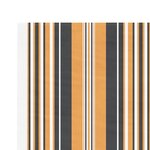 vidaXL Tissu de remplacement pour auvent rayures multicolores 4x3 m