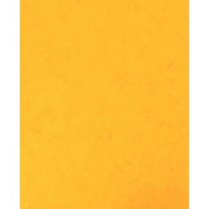 Lot de 10 protège-cahiers avec 2 grands rabats 18 x 22 cm en carte lustrée jaune