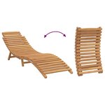 vidaXL Transat Gris foncé 188 x 55 x 59 cm Bois de teck solide
