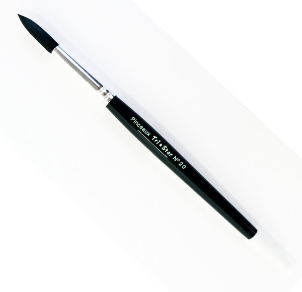 Pinceau rond Aquarelle mélange extra -fin n°20 - lot de 10 pinceaux