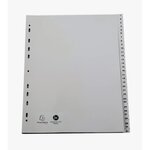 Intercalaires Imprimés Numériques Pp Recyclé Gris 31 Positions - A4 Maxi - Gris - X 5 - Exacompta