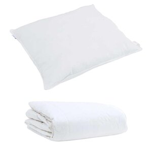vidaXL Duvet d'été simple avec oreiller 2 Pièces Blanc Plume de canard