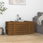vidaXL Boîte de rangement Marron miel 91x40 5x42 cm Bois massif pin