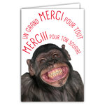 Carte MERCI pour ton Sourire Remerciements Message Humoristique avec Enveloppe Illustrée format 17 5x12cm Singe Chimpanzé Bonobo Drôle Amusant Rigolo qui sourit Création Fabrication française 69-6222
