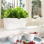 LECHUZA Jardinière DELTA 10 ALL-IN-ONE Blanc brillant