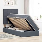 vidaXL Lit avec rangement et matelas Gris foncé 100 x 200 cm Velours