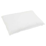 vidaXL Duvet d'hiver avec oreiller 3 Pièces Blanc Plume de canard