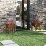 vidaXL Jardinières 2 Pièces Marron miel 50x50x70 cm Bois de pin massif