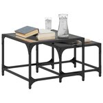 vidaXL Tables basses gigognes 2 Pièces dessus en verre noir acier