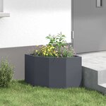 vidaXL Jardinière d'Angle Anthracite 45 x 45 x 35 cm Acier