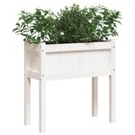 vidaXL Jardinières avec pieds blanc 70x31x70 cm bois de pin massif