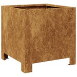 vidaXL Jardinières 2 Pièces 30x30x30 cm acier corten