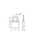 THIRARD - Lot de deux cadenas à clé Type 1  bagage  anse acier  20mm  4 clés  s'entrouvrant