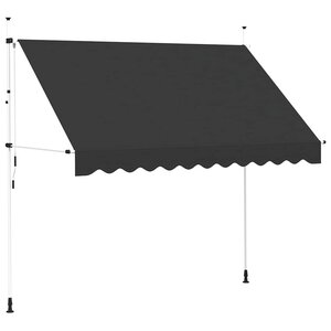 vidaXL Auvent manuel rétractable 300 cm Anthracite
