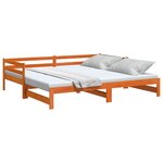 vidaXL Lit de jour et lit gigogne sans matelas 90x200 cm bois massif