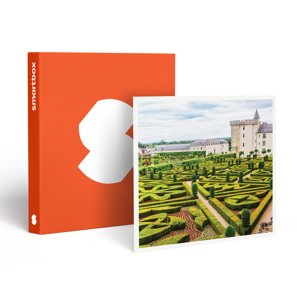 SMARTBOX - Coffret Cadeau Séjour de 2 jours à vélo avec dégustation de vins à travers les châteaux de la Loire - Séjour