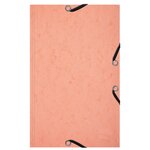 Chemise 3 Rabats À Élastiques Aquarel + 25 Fiches Bristol 125x200mm - 4 Couleurs Assorties - Couleurs Assorties - X 10 - Exacompta