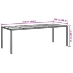 vidaXL Table de jardin pour repas Noir 250 x 100 x 75 cm Poly rotin