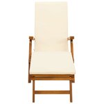 vidaXL Chaise longue inclinable et pliable 55 x 146 x 91 cm