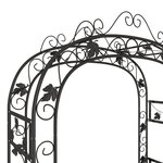vidaXL Arche de jardin Noir 116x45x240 cm Acier