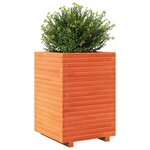 vidaXL Jardinière cire marron 50x50x72 cm bois de pin massif