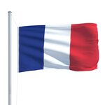 vidaXL Drapeau français 90x150 cm