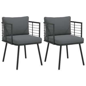 vidaXL Chaises de jardin lot de 2 avec coussins noir résine tressée