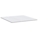vidaXL Coussins de Matelas Blanc 180 x 200 cm Polyester sans colle