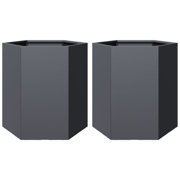 vidaXL Jardinières 2 Pièces anthracite hexagone 46x40x45 cm acier
