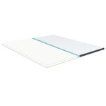 vidaXL Surmatelas de sommier tapissier 200x160x5 cm