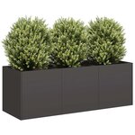 vidaXL Jardinière noir 120x40x40 cm acier laminé à froid