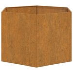 vidaXL Jardinière Rouillé 60x60x45 cm Acier corten