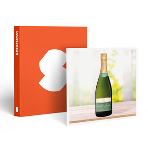 SMARTBOX - Coffret Cadeau Coffret de 3 bouteilles de champagne à déguster chez soi -  Sport & Aventure