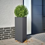 vidaXL Jardinières 2 Pièces anthracite triangulaire 40x34 5x70 cm acier
