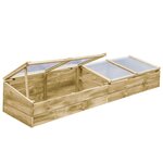 vidaXL Serre Bois de pin imprégné 200x50x35 cm
