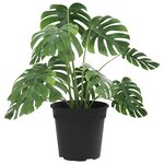 vidaXL Pot à fleurs rond 6 Pièces Noir Ø 17 x 14 cm Plastique