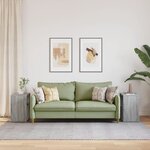 vidaXL Tables d'appoint 2 Pièces sonoma gris 50x30x50cm bois d'ingénierie